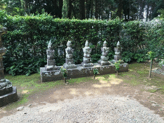 井伊直清の画像