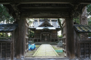 内藤信敦の画像
