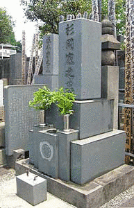 杉岡能連の画像