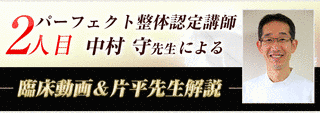 中村守手の画像
