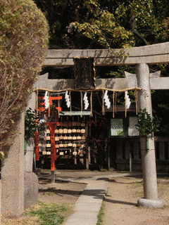 松平輝和の画像