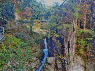 小笠原長宣の画像
