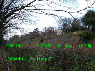 1669年に亡くなった人物の画像