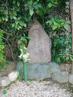 松平友著の画像