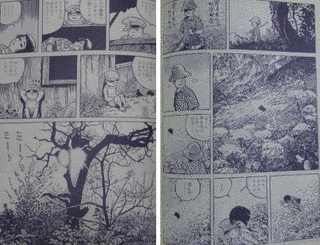紅い花の画像