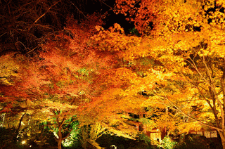 靖厳院の画像