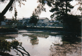板倉重宣の画像