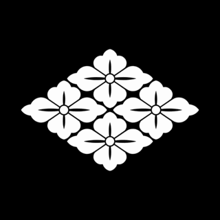 柳沢安弘の画像