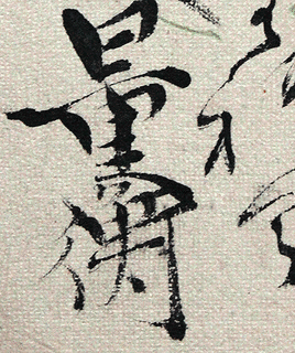 町尻量衡の画像
