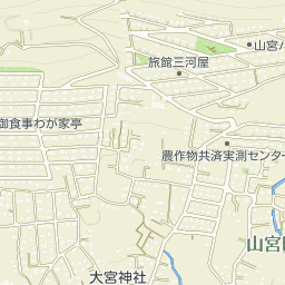 青松院の画像