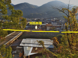 池田長亮の画像