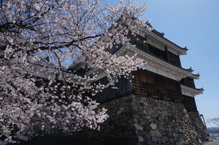稲田植幹の画像