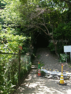 蜂須賀隆寿の画像