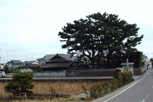 板東十郎兵衛の画像
