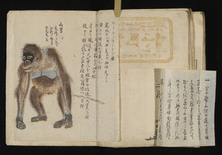 森島中良の画像