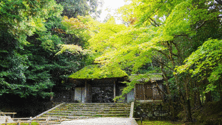 秋香院の画像