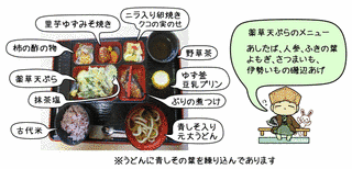 野呂元丈の画像