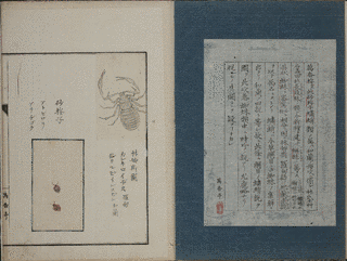 吉田雀巣庵の画像