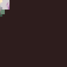 アクロウム・エチュード CANVAS4の画像