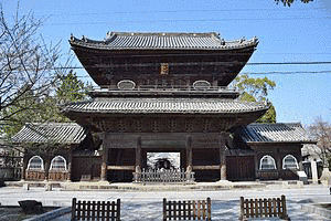 大樹寺の画像