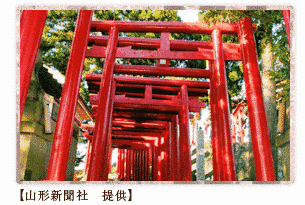 酒井忠真の画像