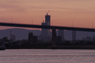 石河政平の画像
