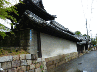 永井直敬の画像