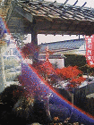 円明院の画像
