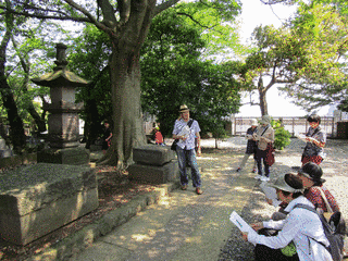 阿部正蔵の画像