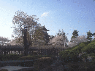 諏訪頼篤の画像