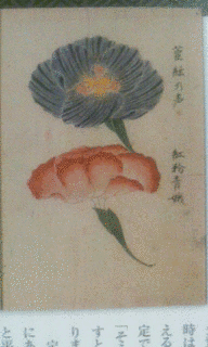 園芸の画像