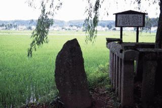 蘆野資俊の画像