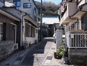 覚栄の画像