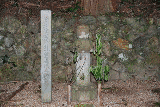 尊統法親王の画像