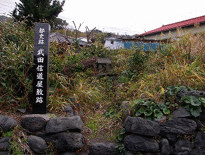 武田信道の画像