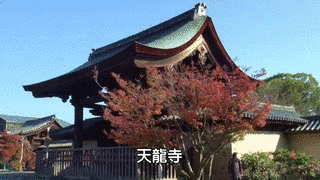 日禎の画像