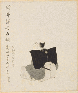 新井白蛾の画像