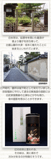 関藍梁の画像