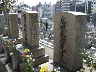 藤沢東畡の画像