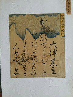 醍醐輝弘の画像
