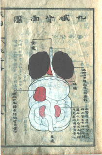 山脇東洋の画像