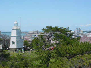 風間閑斎の画像