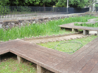 園井東庵の画像