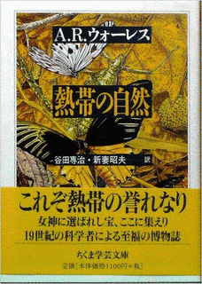 谷田専治の画像