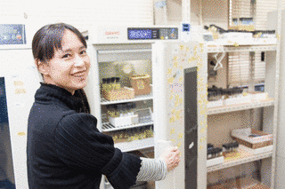 上川内あづさの画像