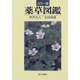 伊沢凡人の画像