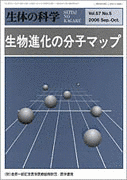 山口正義の画像