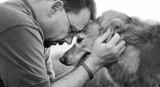 犬とのきずなシリーズの画像