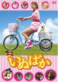 いぬばかの画像