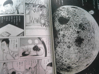 宇宙虫の画像